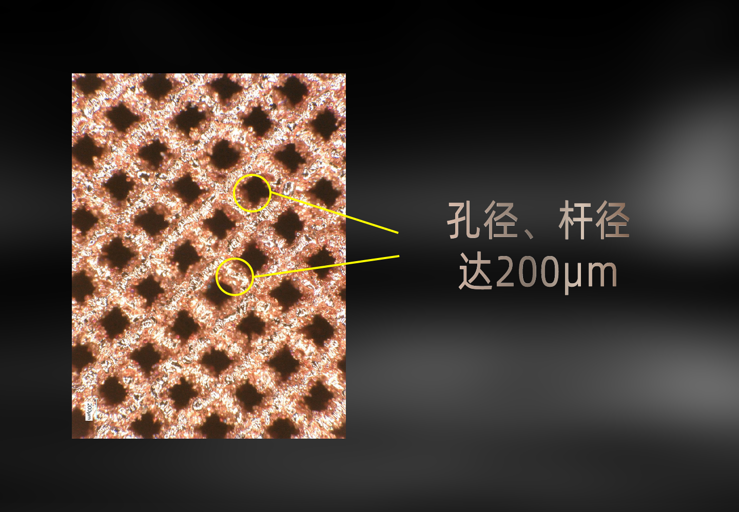 56de5cafaf0abc36eed5c1f8c9472c71.png